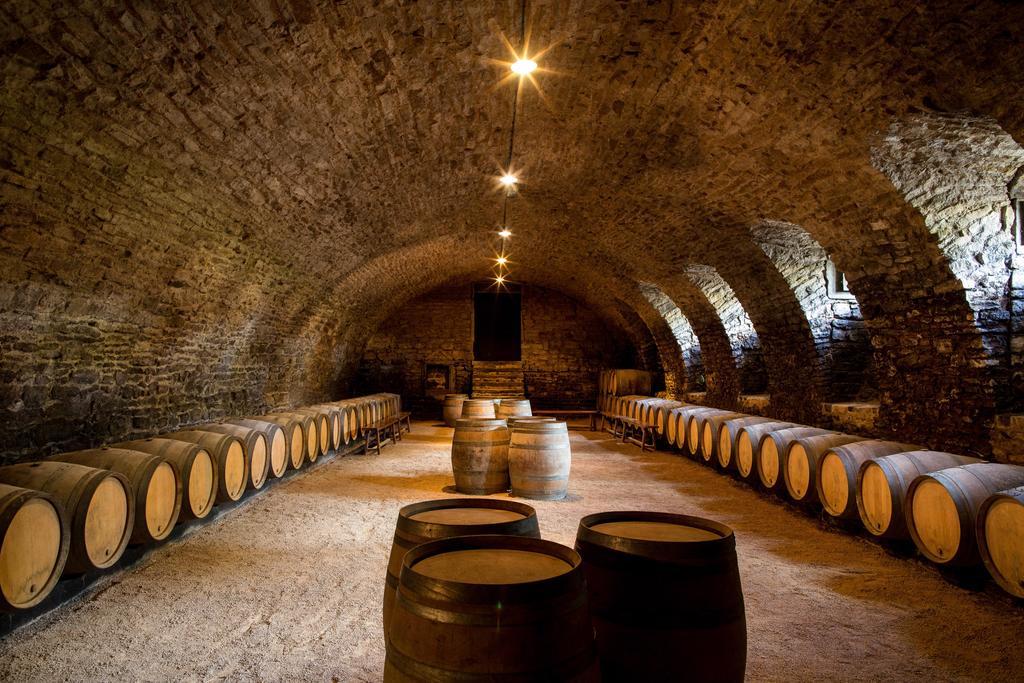 Chateau De Pierreclos 외부 사진